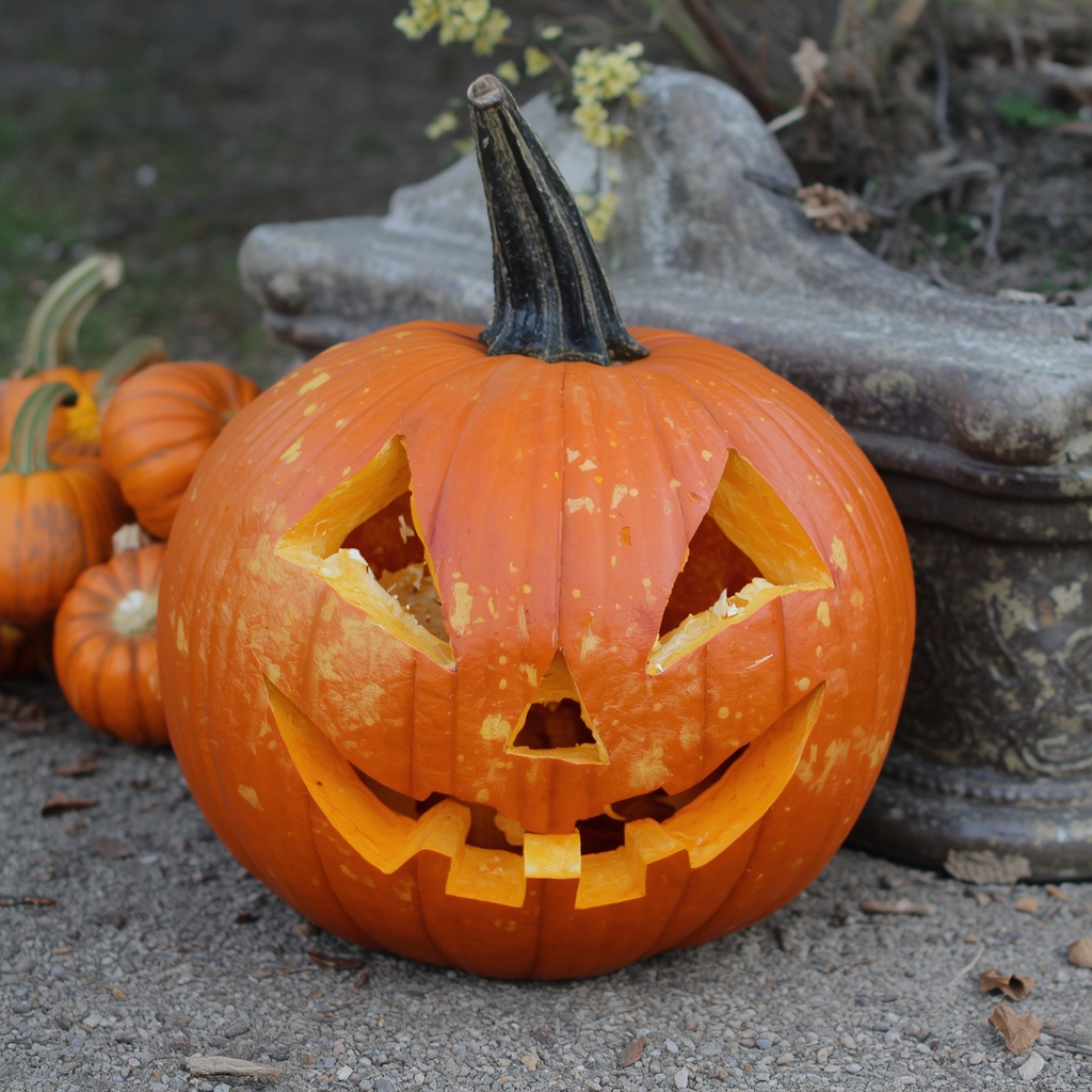 Painted and No-Carve Pumpkin Alternatives